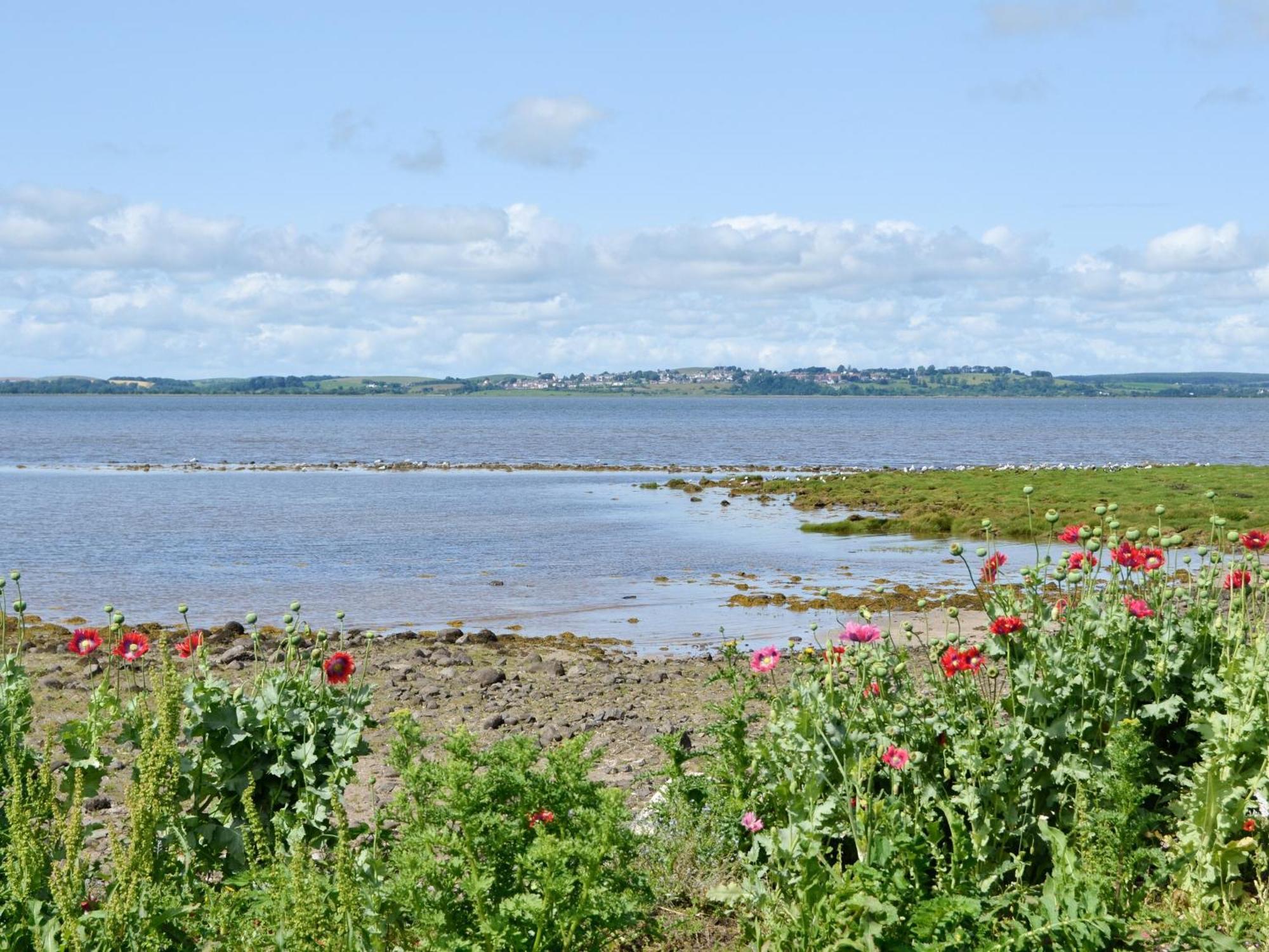 Shore Cottage Carsluith Екстериор снимка